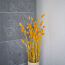 Yellow phalaris boot