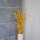 Yellow phalaris boot