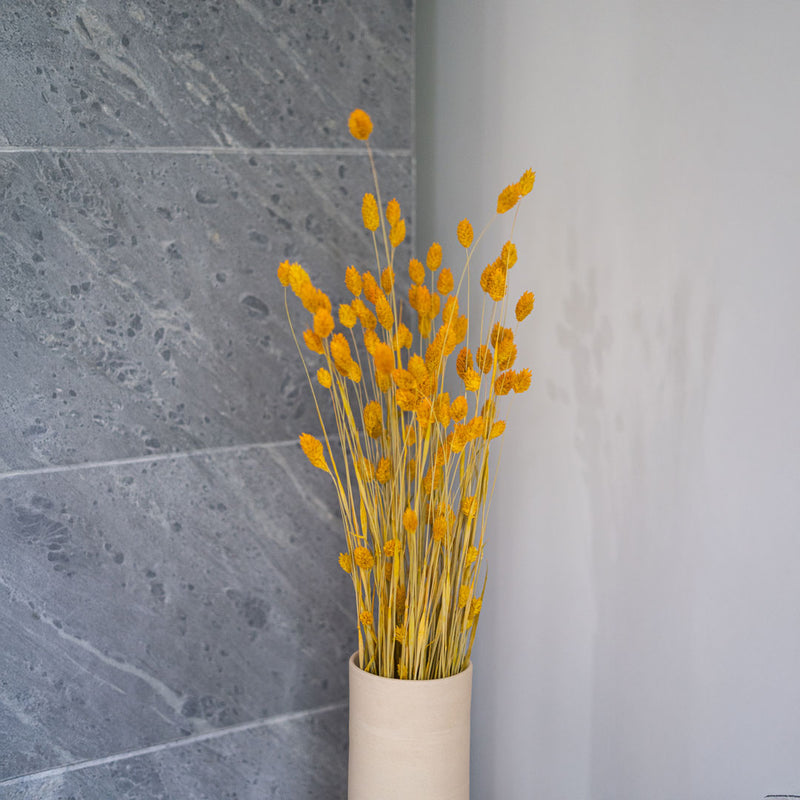 Yellow phalaris boot