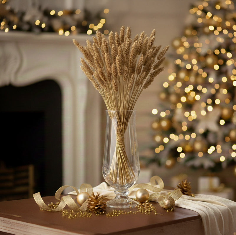 Botte Phalaris Doré