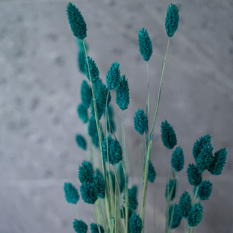 Emerald green phalaris boot