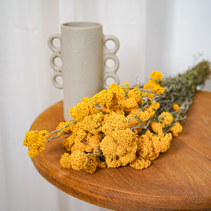 Botte Sanfordii Jaune - Flowrette