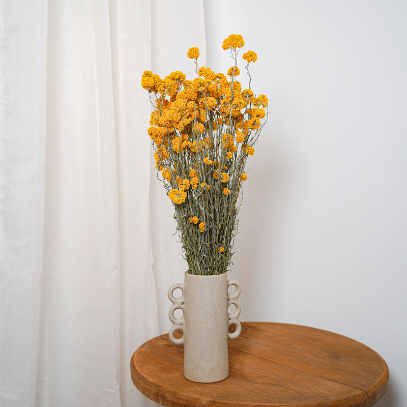 Botte Sanfordii Jaune - Flowrette