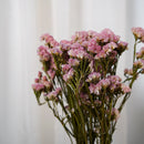 Botte Statice Sinuata Pêche - Flowrette