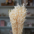 Botte briza blanc fleurs séchées - Flowrette
