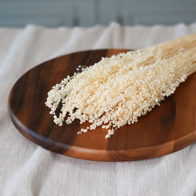 Botte de briza minor blanc