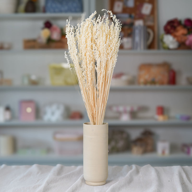 Botte de briza minor blanc