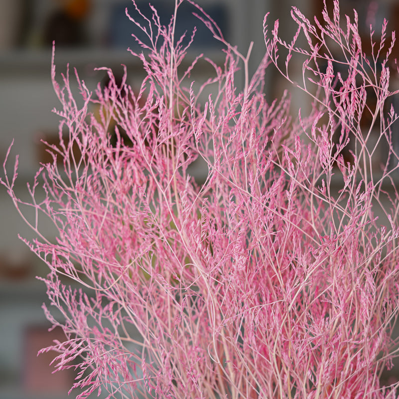 Botte statice marina rose fleurs séchées - Flowrette
