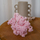 Botte Immortelle du Var Rose - Flowrette