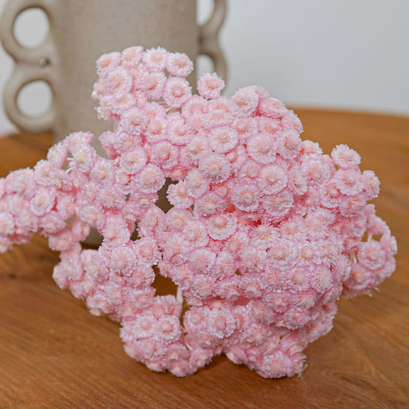 Botte Immortelle du Var Rose - Flowrette