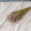 Botte de briza minor naturel séchée beige Flowrette - photo 3