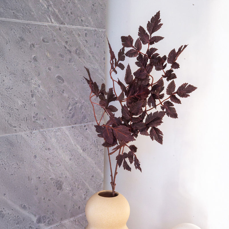 Artificial branch of Cimicifuga