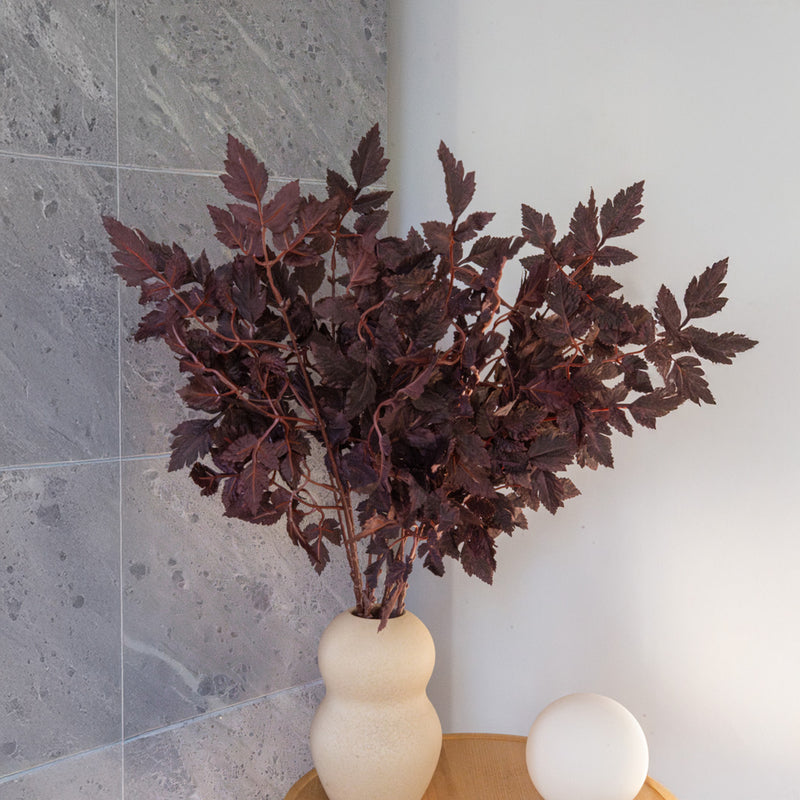 Artificial branch of Cimicifuga