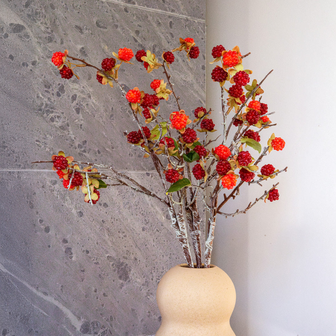 Branche artificielle de Framboisier