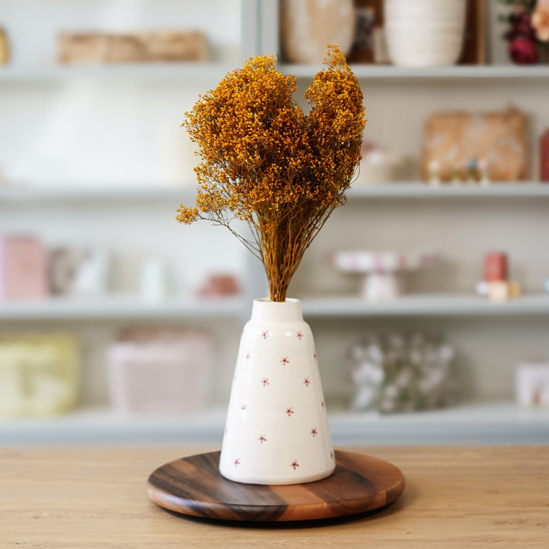 Broom bloom jaune