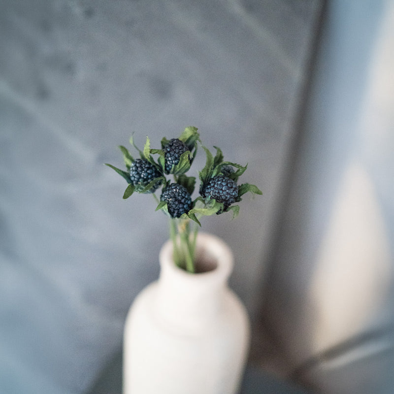 Chardon en papier bleu