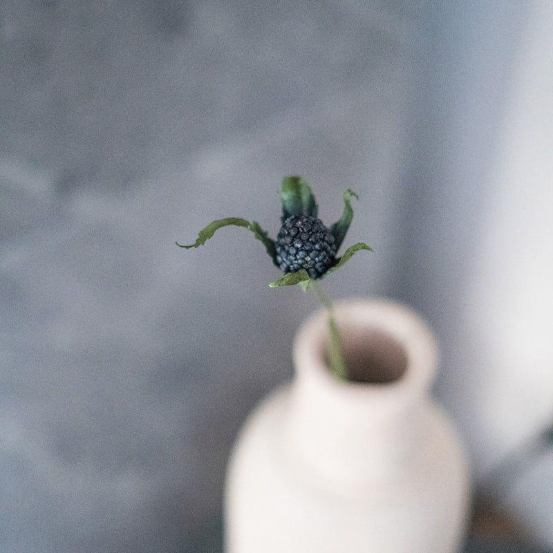 Chardon en papier bleu