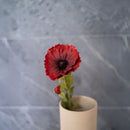 Coquelicot artificiel rouge