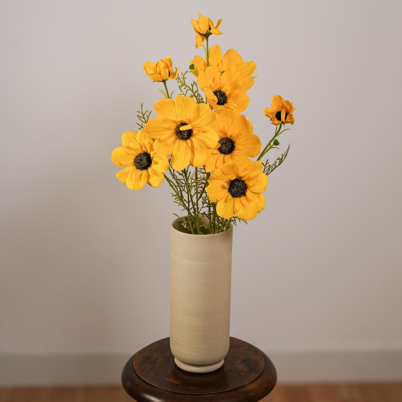 Cosmos artificiel jaune, gros plan sur les pétales ensoleillés - Flowrette