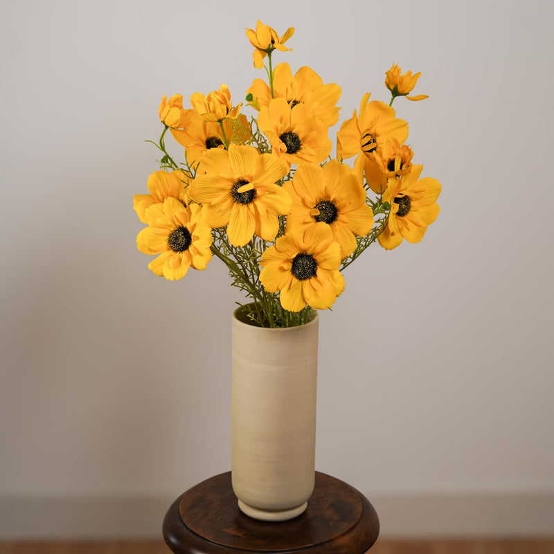 Cosmos artificiel jaune, vue d'ensemble de la tige avec fleurs - Flowrette