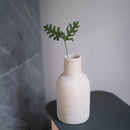 Fougère royale en papier vert foncé