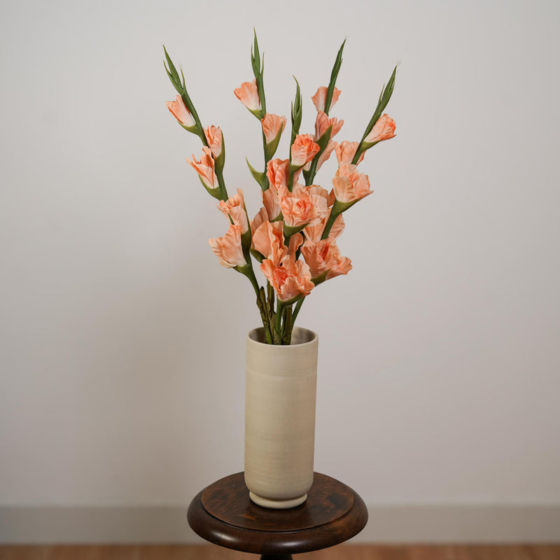 Glaïeul artificiel abricot, vue d'ensemble de la tige fleurie - Flowrette