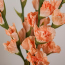 Glaïeul abricot artificiel dans un vase décoratif - Flowrette