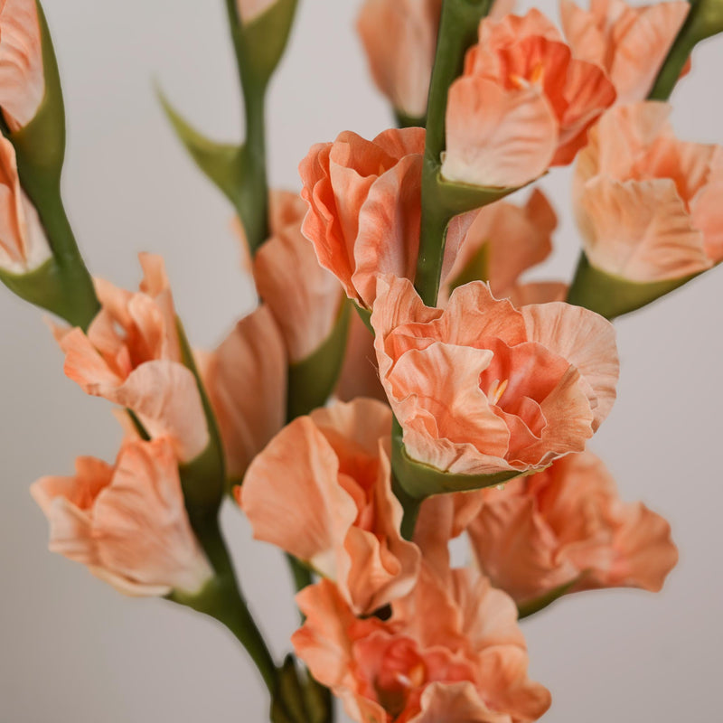 Glaïeul abricot artificiel dans un vase décoratif - Flowrette
