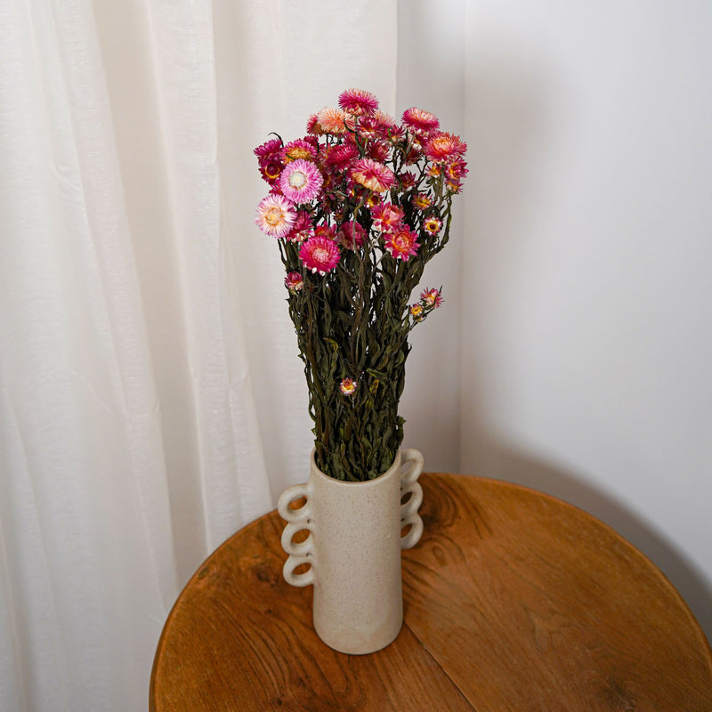 Botte Helichrysum camaïeu de roses