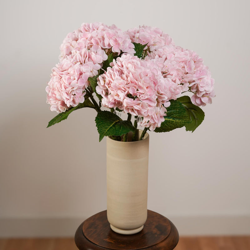 Hortensia rose clair