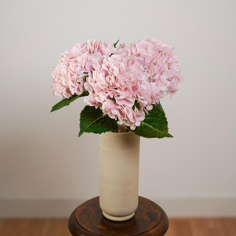Hortensia rose clair