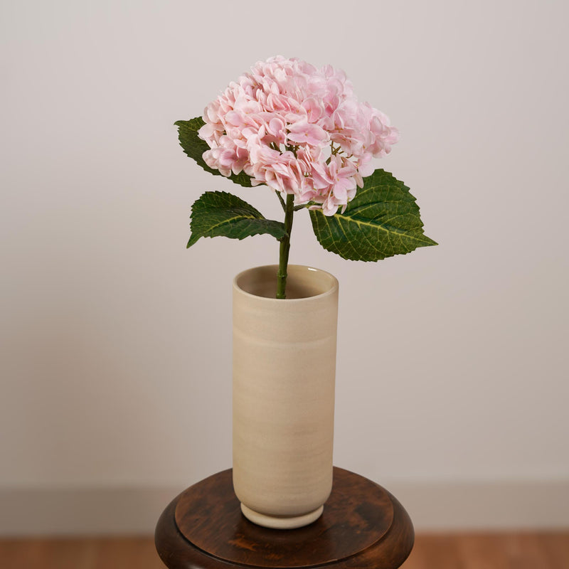 Hortensia rose clair