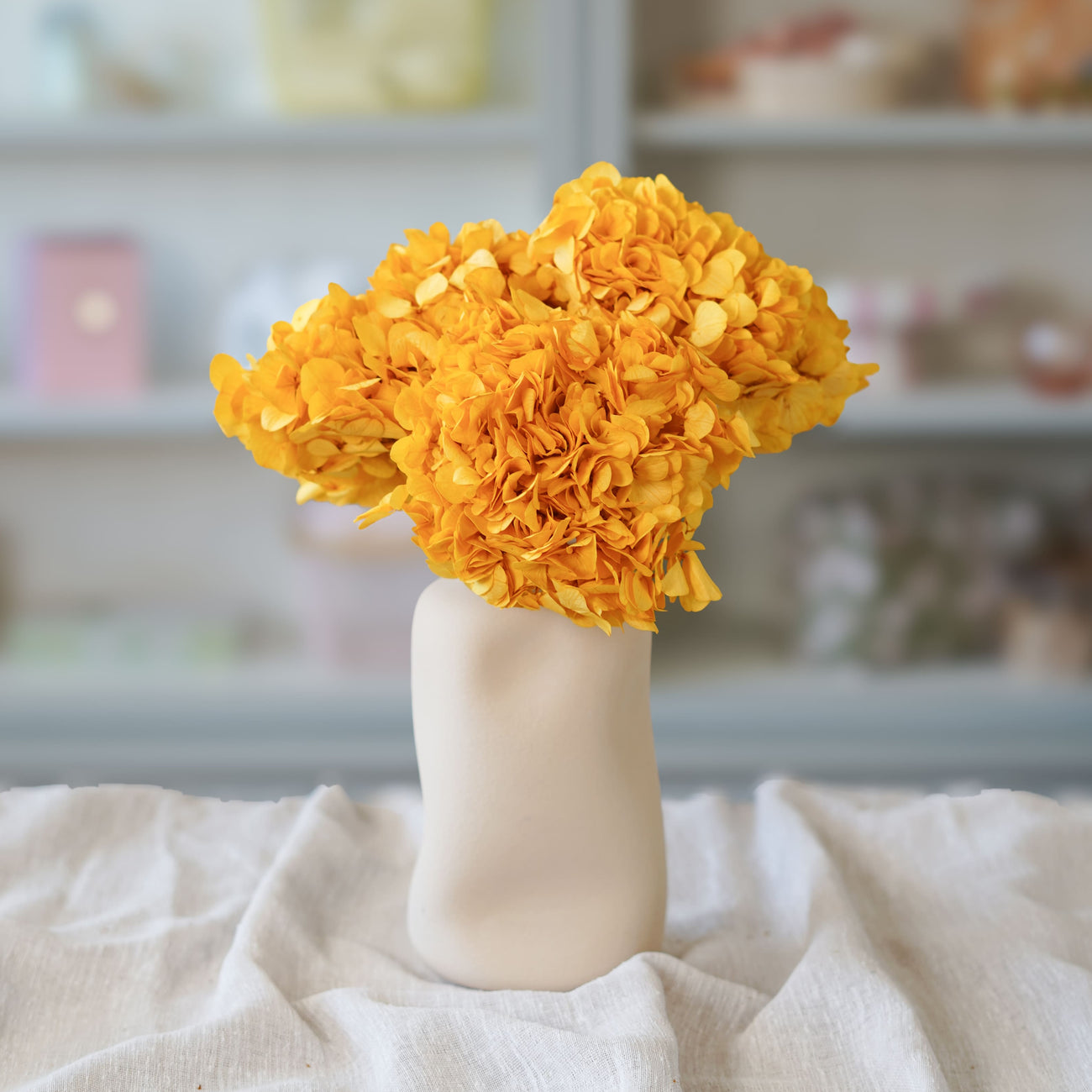 Hortensia jaune moutarde