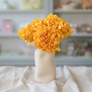 Hortensia jaune moutarde