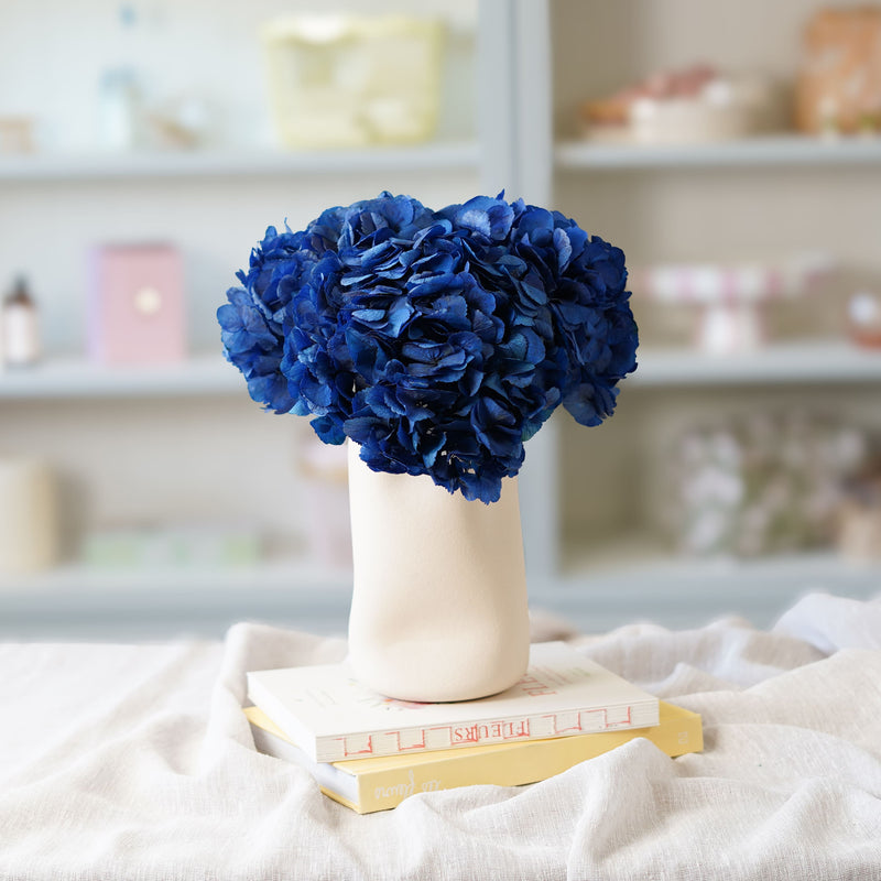 Hortensia bleu stabilisé
