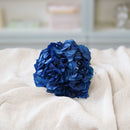 Hortensia bleu stabilisé