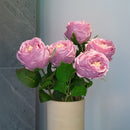 Item3173 Purple pink