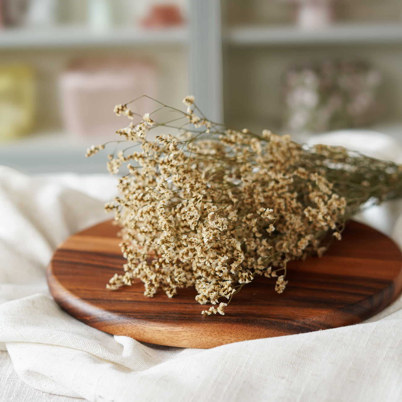 Limonium blanc