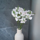 Lys des Incas en papier blanc et vert