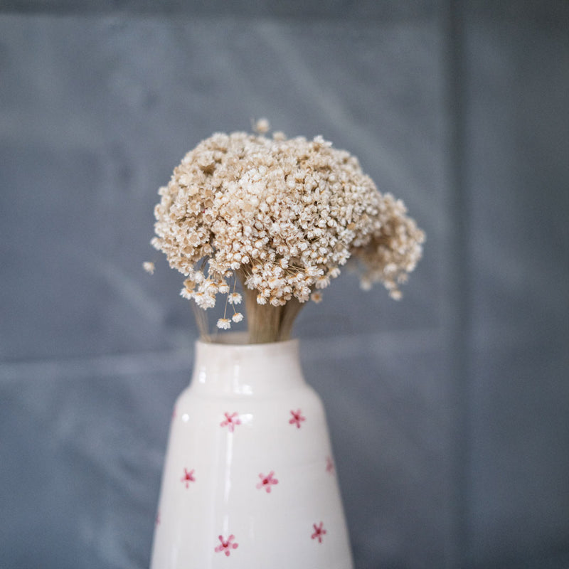 Botte de marcela séchée, détail des petites fleurs blanches naturelles - Flowrette