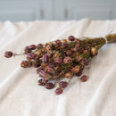 Botte de nigelle de Damas séchée Flowrette - photo 1