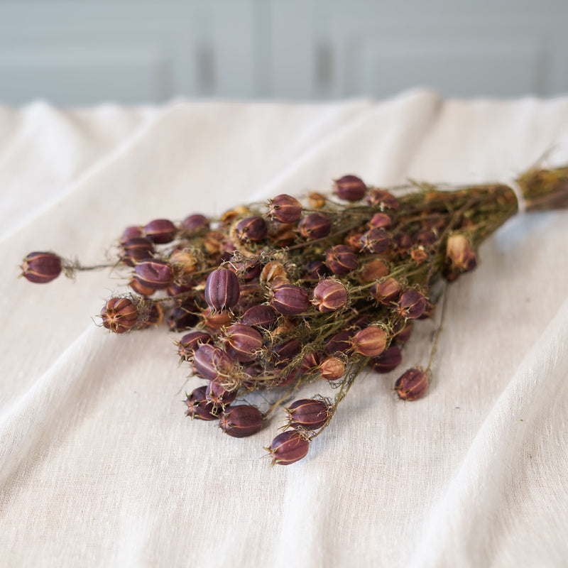 Botte de nigelle de Damas séchée Flowrette - photo 1