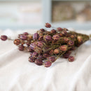 Botte de nigelle de Damas séchée Flowrette - photo 2