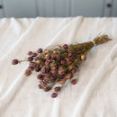 Botte de nigelle de Damas séchée Flowrette - photo 3