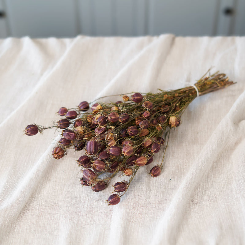 Botte de nigelle de Damas séchée Flowrette - photo 3
