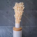 Botte de nigelle orientalis blanche, mise en scène ambiance bohème naturelle - Flowrette