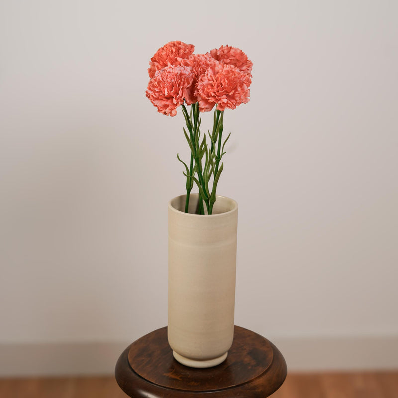 Oeillet artificiel corail, vue d'ensemble de la tige fleurie - Flowrette