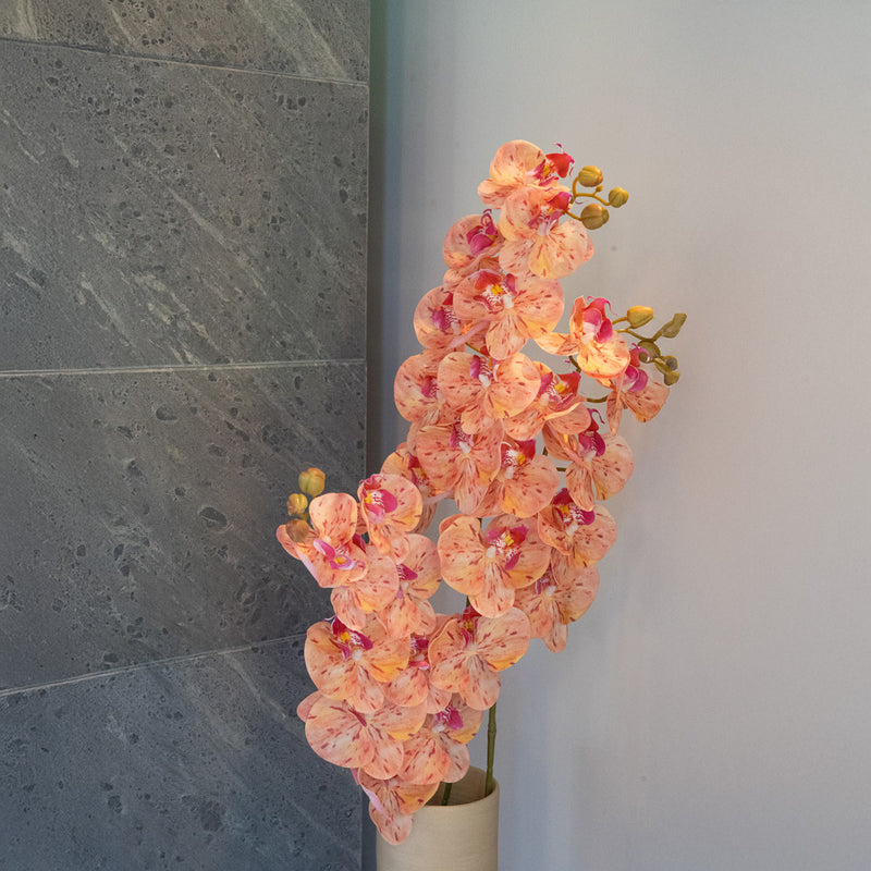 Korallenfarbene Orchidee – Kunstblume der Illusion