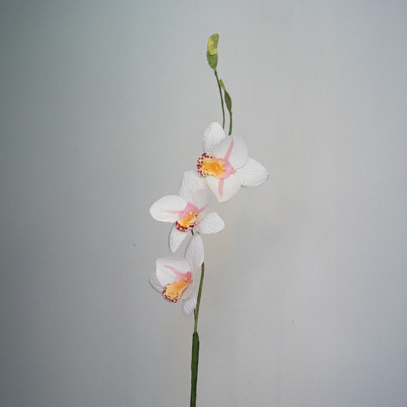 Orchidée Vanda en papier blanc flowrette real touch artificielle