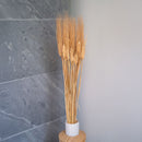 Orge naturel séché, détail des épis aux teintes bohèmes chaudes - Flowrette